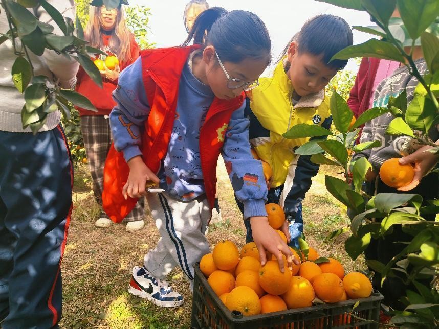 “爱意“农农”青春助力”