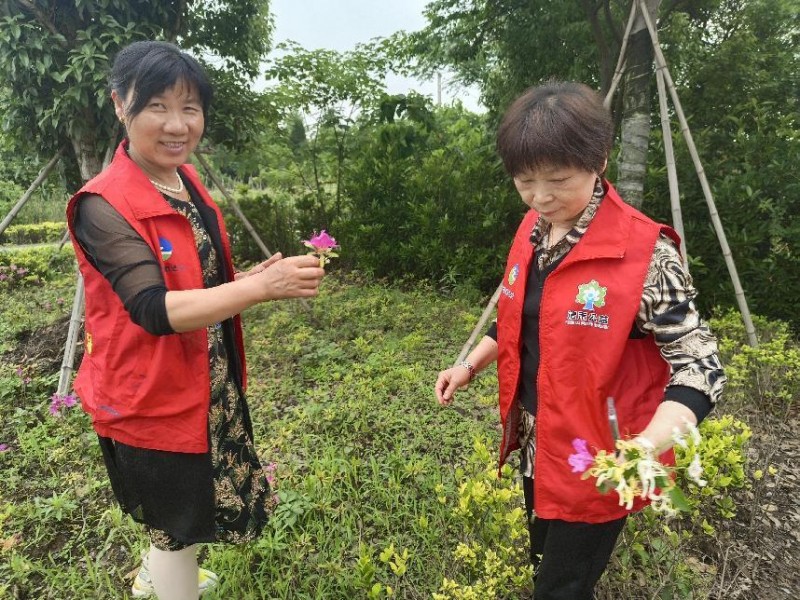 “花”心思 诉爱与行--致母亲节