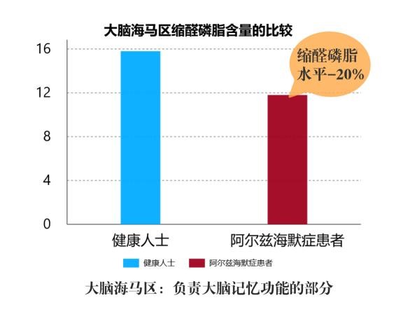 老年痴呆有救了！海鞘可以逆转衰老迹象